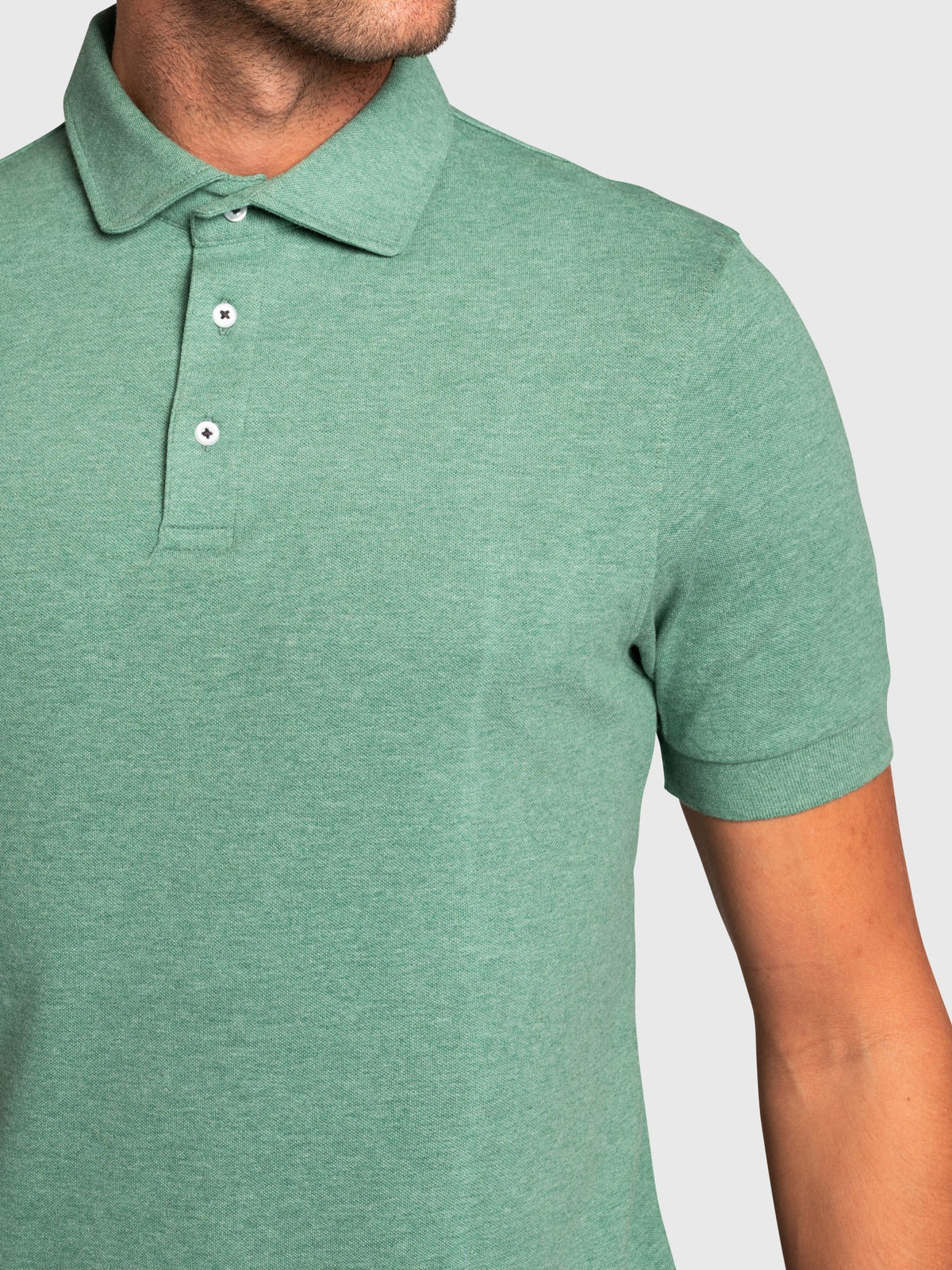 BS Fiji Regular Fit Polo - Green