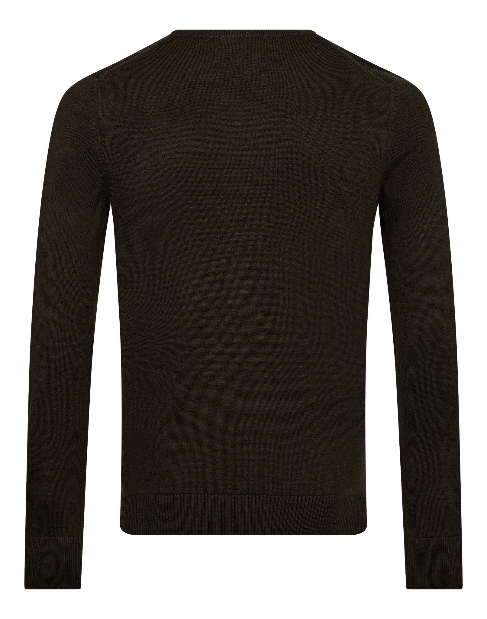 BS Jupiter Regular Fit Knitwear - Green