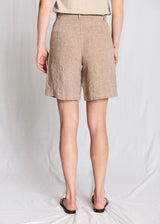 BS Kricia Regular Fit Shorts - Brown