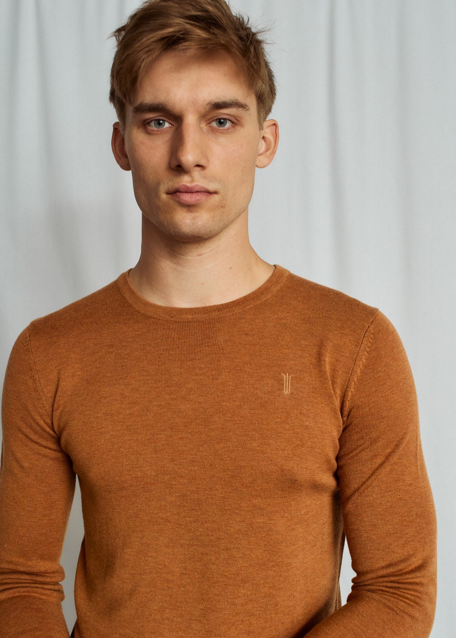 BS Jupiter Regular Fit Knitwear - Cider