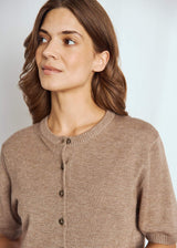 BS Ada Regular Fit Strik - Brown