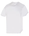 BS Antiqua Regular Fit T-Shirt 3-pack - White