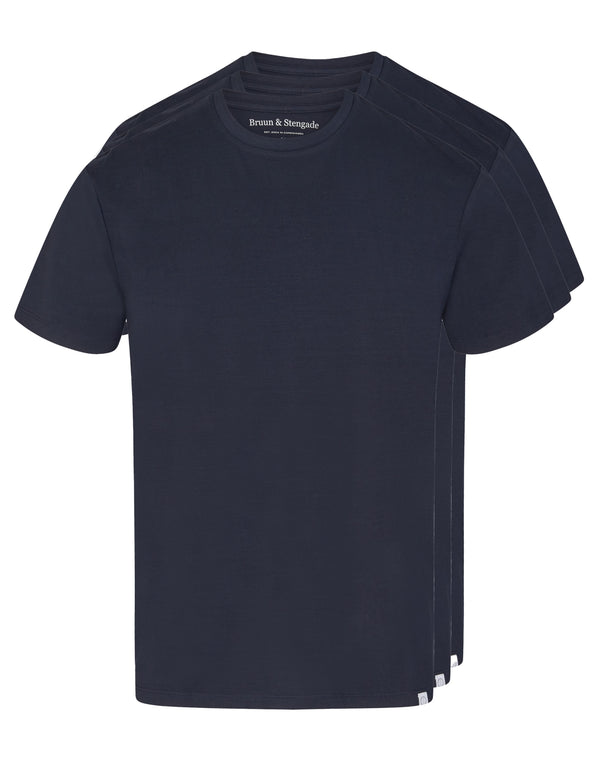 BS Antiqua Regular Fit T-Shirt - Navy